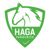 HAGAPardubice florbal haga florbalpardubice hagaspojuje Sticker