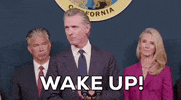 California Abortion GIF by GIPHY News