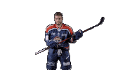 Ducs Dangers Hockey Sticker by Les Ducs d'Angers