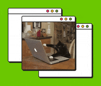 GIF by Dietbox Brasil