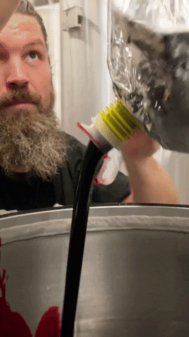 GIF by La Nébuleuse