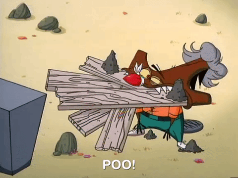 nickrewind giphydvr nicksplat angry beavers giphyab017 GIF