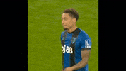 Premier League Ugh GIF by AFC Bournemouth
