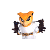 Ncaa Mascot Sticker by Rowan University