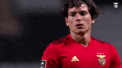 Sl Benfica Darwin GIF by Sport Lisboa e Benfica