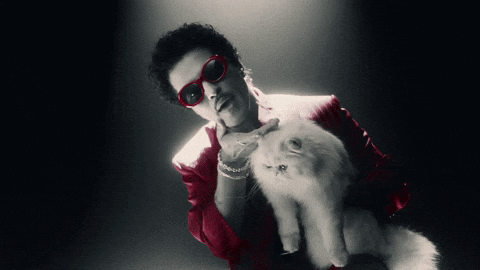 xKingSam bruno mars sexyy red bruno mars dance bruno mars sexy red GIF