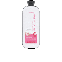 Rose Sea Sticker by Bhargava Phytolab