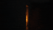 Stalker GIF by GSC Game World