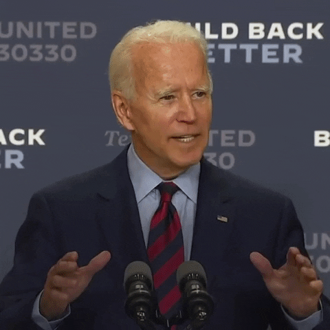 Voting Election 2020 GIF by Joe Biden