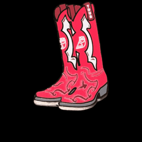 University Texas GIF by Pinned Pins