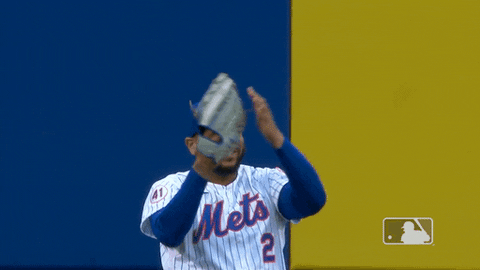 Ny Mets Clap GIF by New York Mets