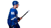 Fun Hockey Sticker by barys_official