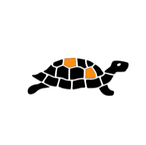 kadoreyewear turtle tartaruga kador kadoreyewear Sticker