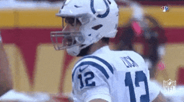 2018 Nfl Football GIF by NFL