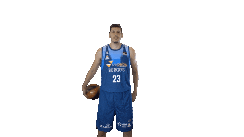Liga Endesa Basketball Sticker by ACB