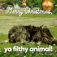 Merry Christmas, Ya Filthy Animal!