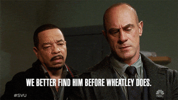 Law And Order Episode 13 GIF by NBC