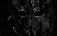 mario bava GIF by Maudit