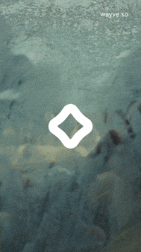 Vintage Ai GIF by Darwin