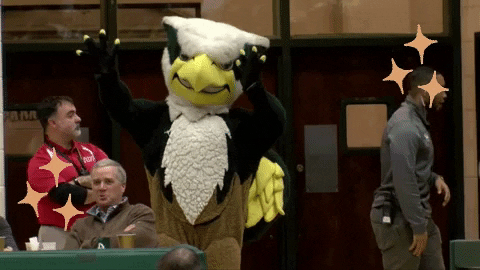Waving College Athletics GIF by William & Mary