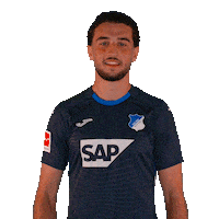 Sport Bundesliga Sticker by TSG Hoffenheim