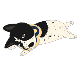 Dog Night Sticker