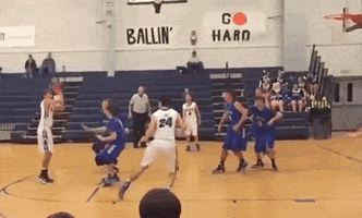 funny videos lol GIF by America's Funniest Home Videos