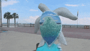 alabama GIF