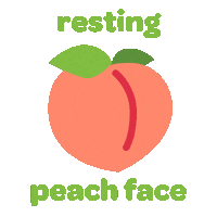 Fun Pink Sticker by Verde Fresh Salads + Wraps