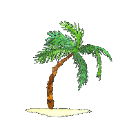 Mar Palm Beach Sticker