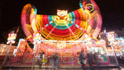 Park GIF by Linz News