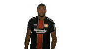 happy bayer leverkusen Sticker by Bundesliga