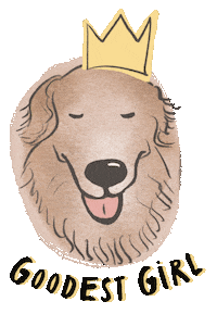 Golden Retriever Bearhugs Sticker by Little Blue Fairy