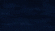 Mega Evolution Dragon GIF by Pokémon
