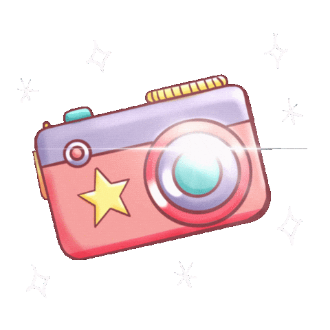 Flash Camara Sticker