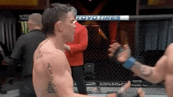 Brian Kelleher Hug GIF by UFC