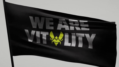 Flag Vita GIF by Team Vitality