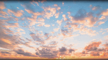 GIF by Andrewknives