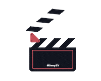 sonyphilippines action zv1 sonyzv1 Sticker