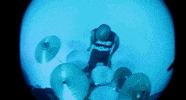 Fever Dream GIF by Pure Noise Records