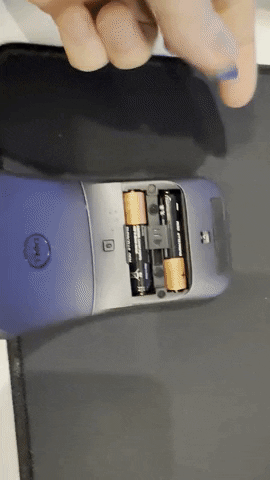 jose_leo giphyupload GIF