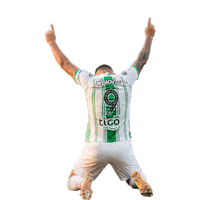 Futbol Esperar Sticker by Club Atlético Nacional