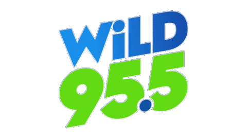 wild955fm giphyupload carmine maegan wild955 Sticker