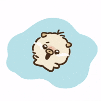 강아지 GIF