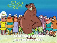 season 6 GIF by SpongeBob SquarePants