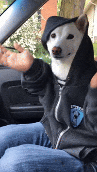 GIF by KeepUpWithJazAndYumi
