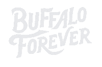 Super Bowl Bills Sticker by Oxford Pennant