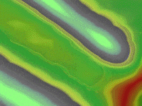 hell yeah yes GIF by Matthew Mann