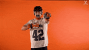 Uvamenslax GIF by Virginia Athletics