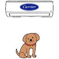 alarko-carrier hot dog cool puppy Sticker